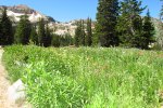 Alta Mountain